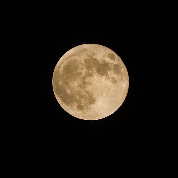 スーパームーン_a0161380_1033346.jpg