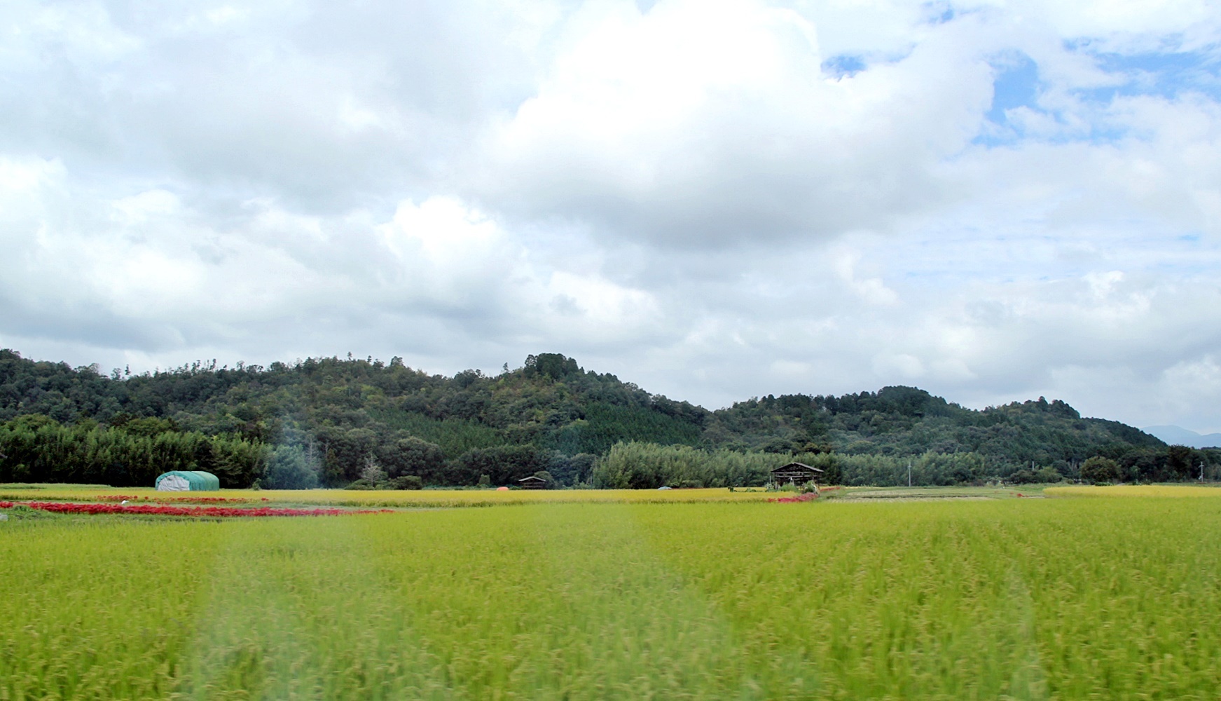 e0154682_00325001.jpg
