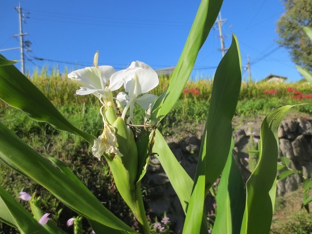 b0336384_23115529.jpg