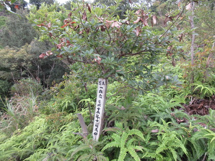 f0053885_21181396.jpg