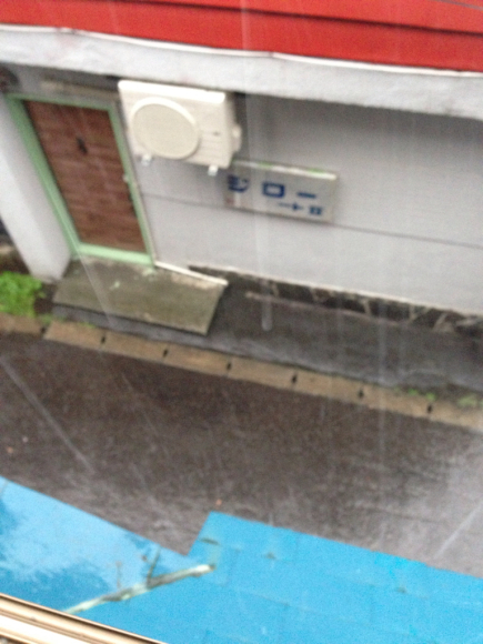 雷、超豪雨、雹 ！_b0271789_16414170.jpg