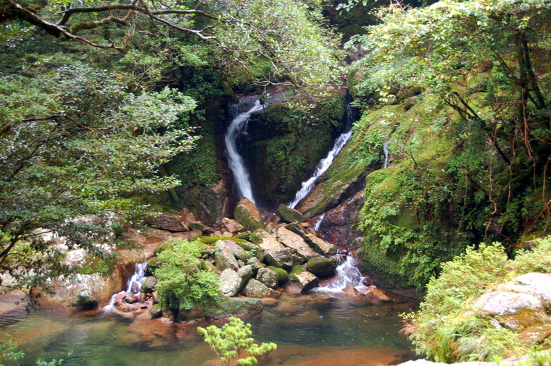 白谷雲水峡_c0057390_2241273.jpg