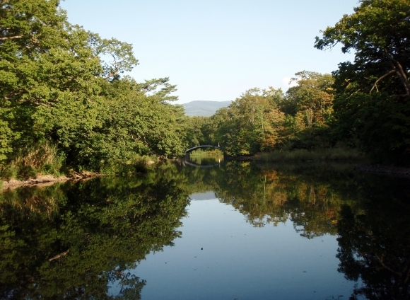 d0318191_13463359.jpg