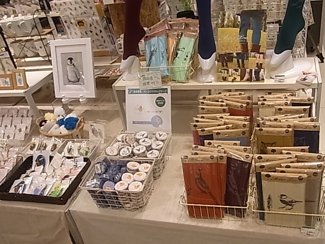 東急ハンズ梅田店インコと鳥の雑貨展 常設ブースの場所と様子_d0322493_11123758.jpg