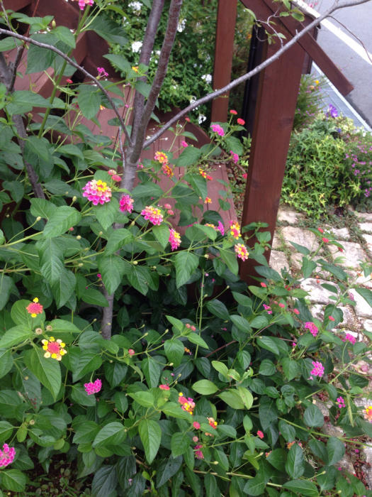 兵庫県へ_a0233896_15043441.jpg