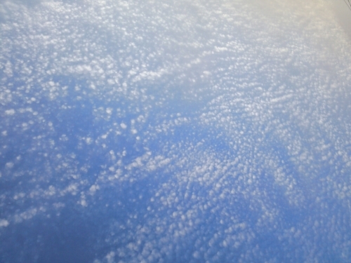 a0333000_19542863.jpg