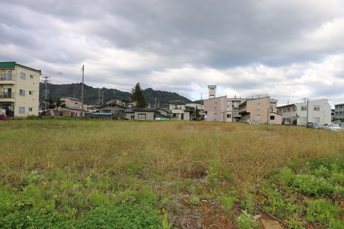 風に揺らぐコスモス、９月３０日（秋分・次候）　虫蟄れて戸を坯ぐ・・・１_c0075701_1959575.jpg