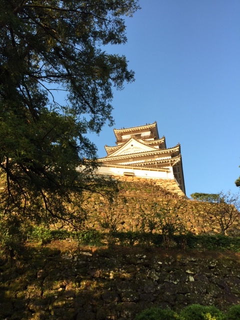 土佐の高知の．．．_a0335202_13284488.jpg