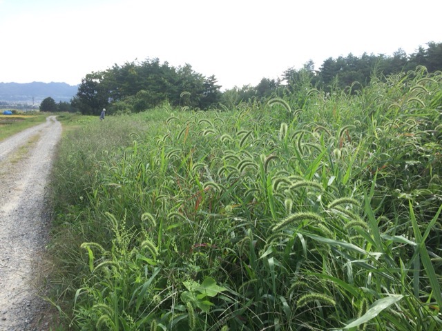 c0227407_1285413.jpg