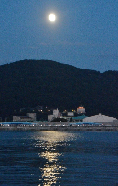 名勝和歌の浦　観月会　竹燈夜ＩＮ妹背山_c0367107_13183897.jpg