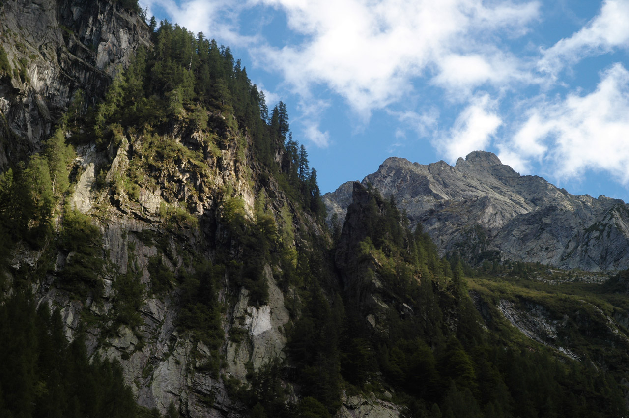 d0104210_8124757.jpg