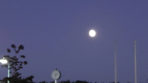 a0059812_1433124.jpg