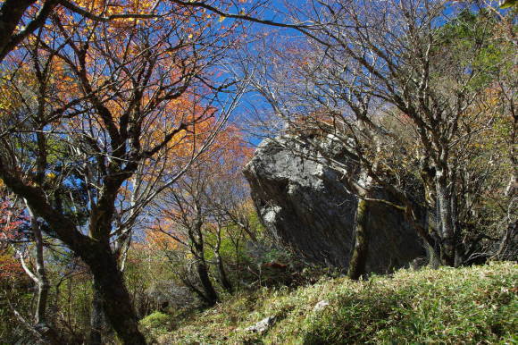 d0341514_22112729.jpg