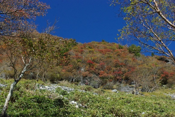 d0341514_22154454.jpg