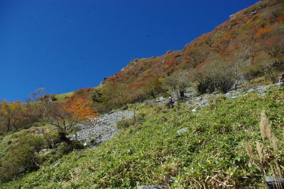 d0341514_22162644.jpg
