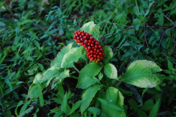 d0341514_22420297.jpg