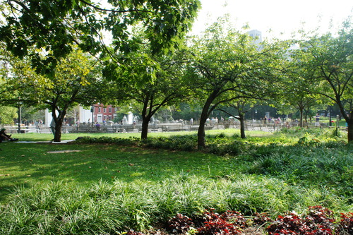 f0215714_1743826.jpg