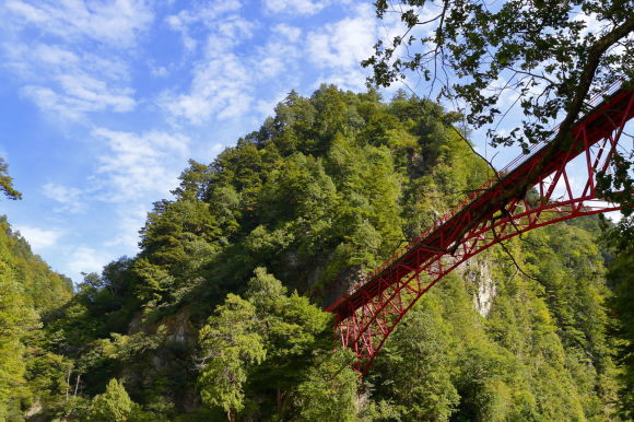 b0174626_19551490.jpg