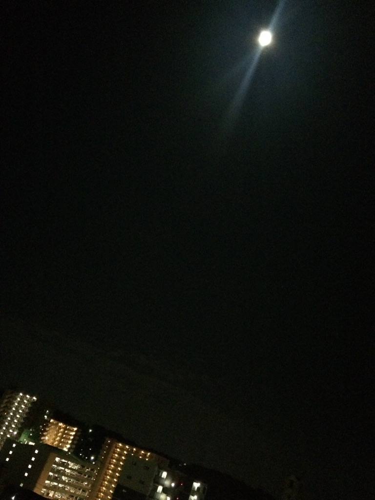 b0203727_92097.jpg