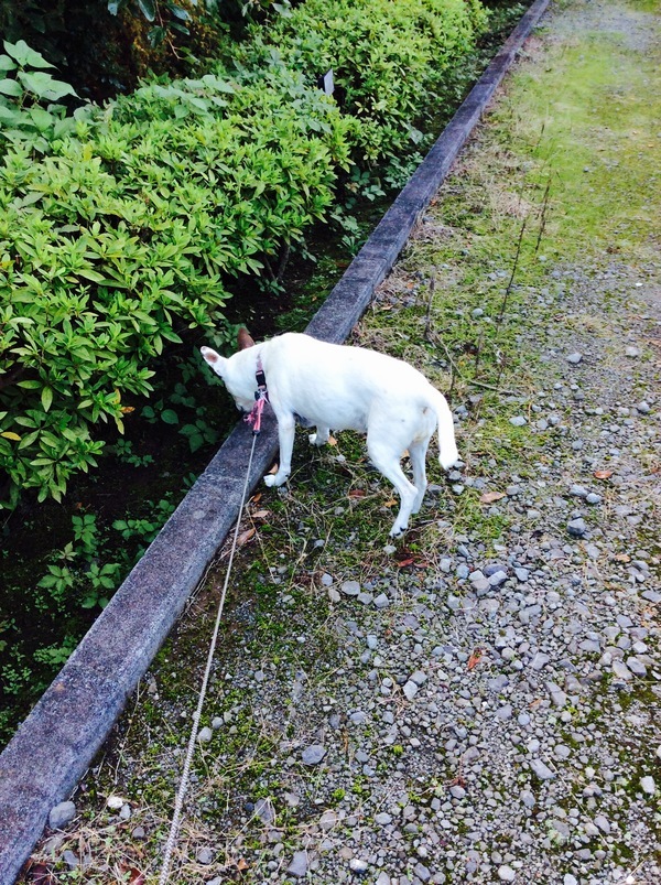 d0269832_06463898.jpeg