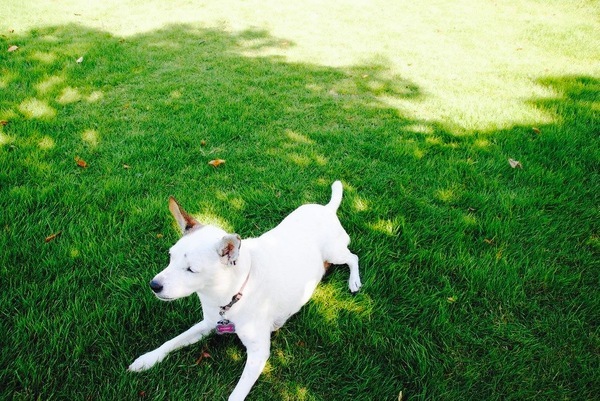 d0269832_06474440.jpeg