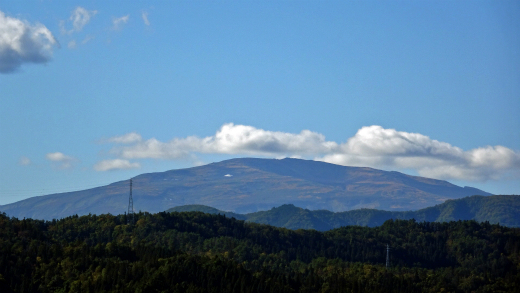 a0274944_15561296.jpg