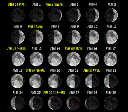 e0126350_23115436.gif