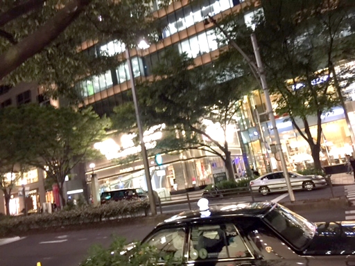 刺しゅうの展示会のご案内♪_f0305451_21553399.jpg
