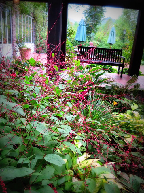 f0236260_0433182.jpg