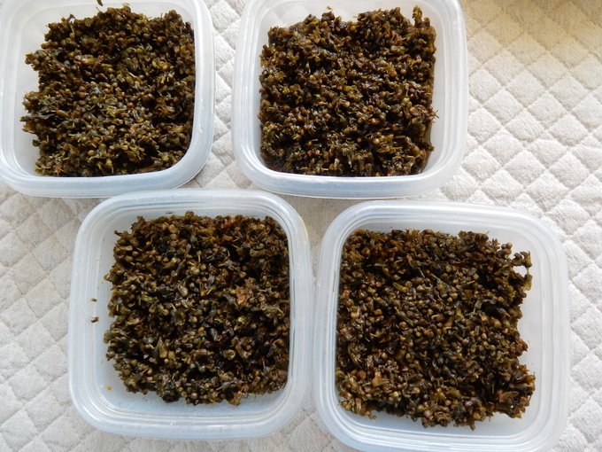 ’15,9,30(水)シソの実の佃煮をいっぱい作ったよ!_f0060461_1129298.jpg
