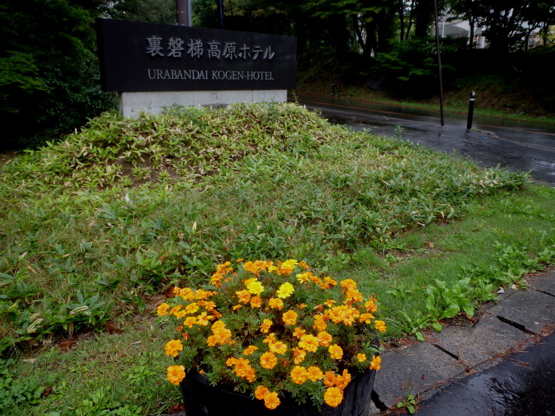 f0208666_20161176.jpg