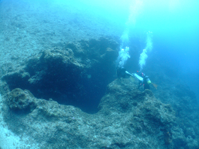 e0184067_17412095.jpg