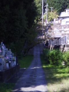 f0150767_14150648.jpg