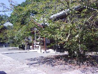 f0150767_14151417.jpg