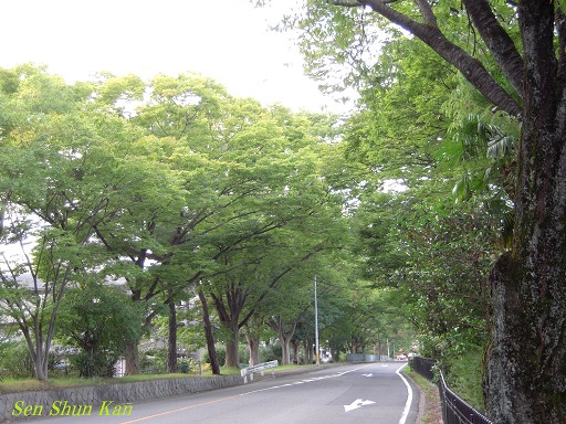 a0164068_237190.jpg