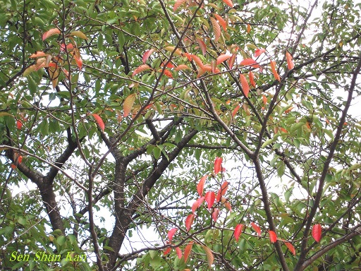 a0164068_2372786.jpg