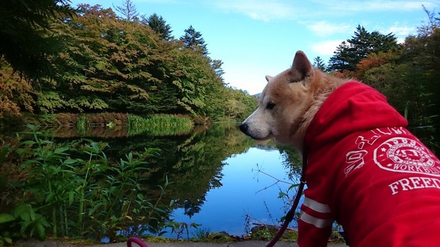b0274270_13302323.jpg