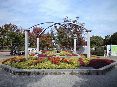 コスモスコスモス咲いた咲いた (海の中道海浜公園)_b0005281_20573033.jpg