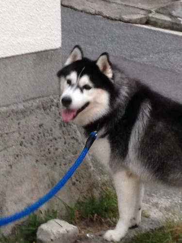 f0315081_18474640.jpeg