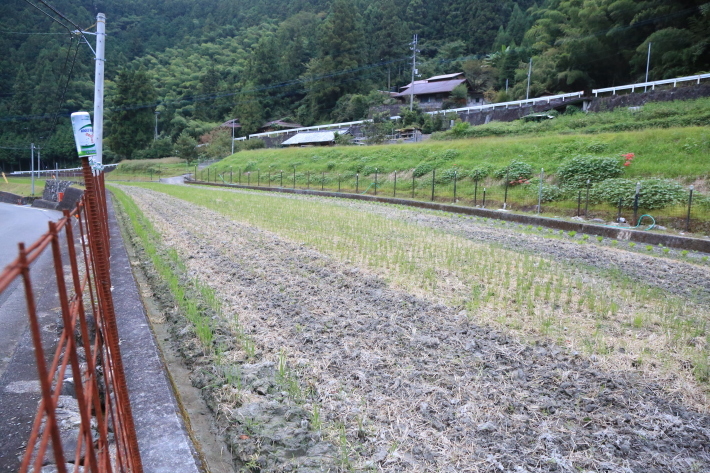 c0358784_18451399.jpg