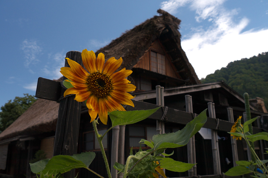 15.09.12：現役最後の夫婦旅行、②初秋の白川郷を歩く１_c0007190_20361223.jpg