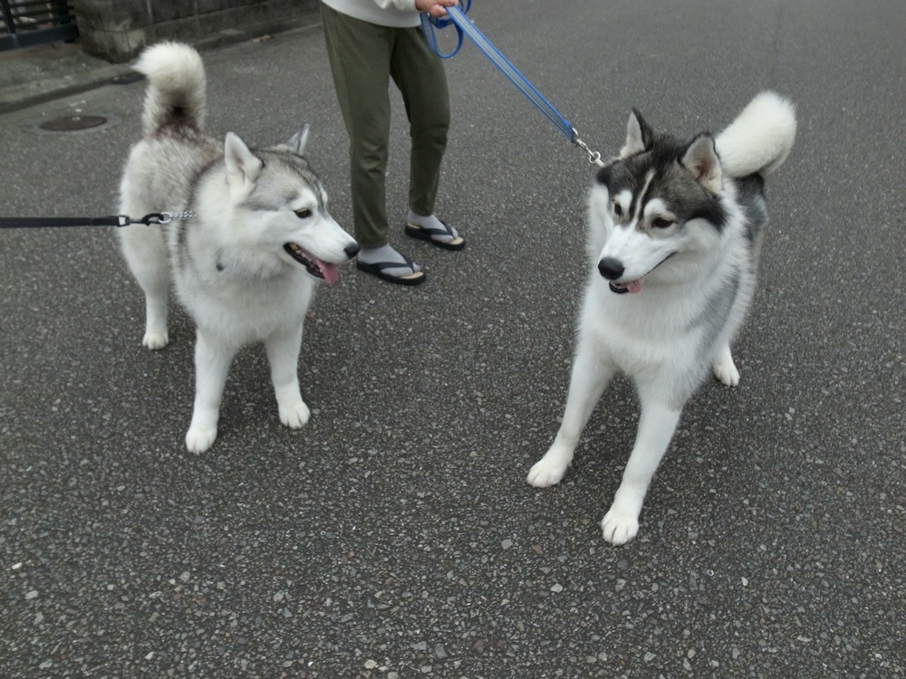お宅訪問~♪ (^o^)_c0049299_2311165.jpg