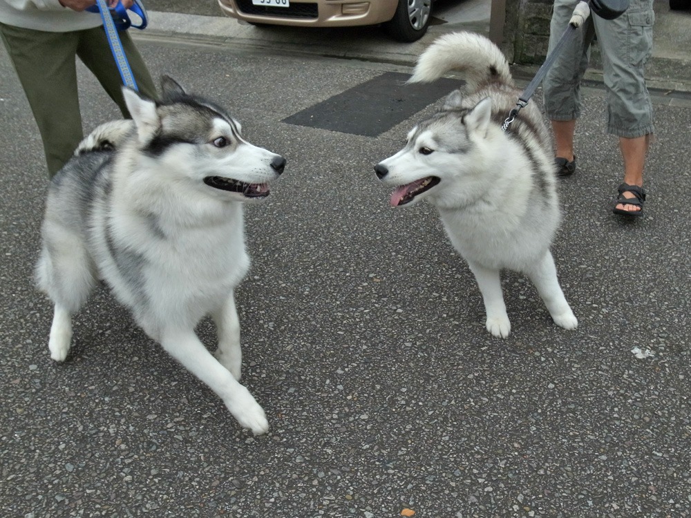 お宅訪問~♪ (^o^)_c0049299_23123172.jpg