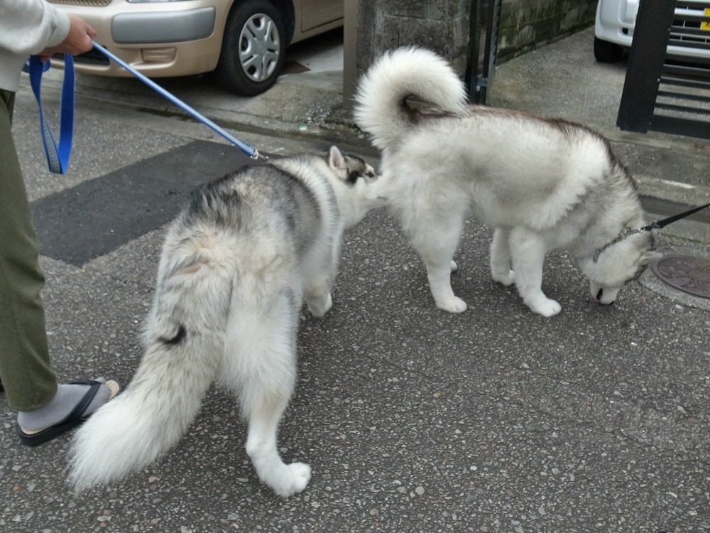お宅訪問~♪ (^o^)_c0049299_2312826.jpg