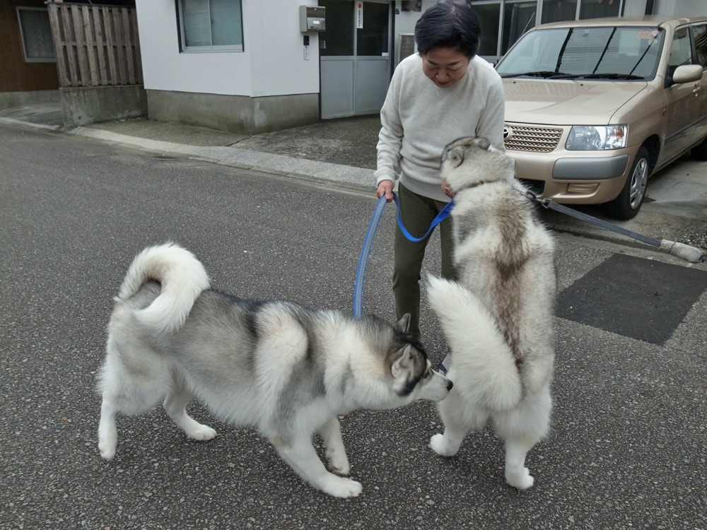 お宅訪問~♪ (^o^)_c0049299_2313092.jpg