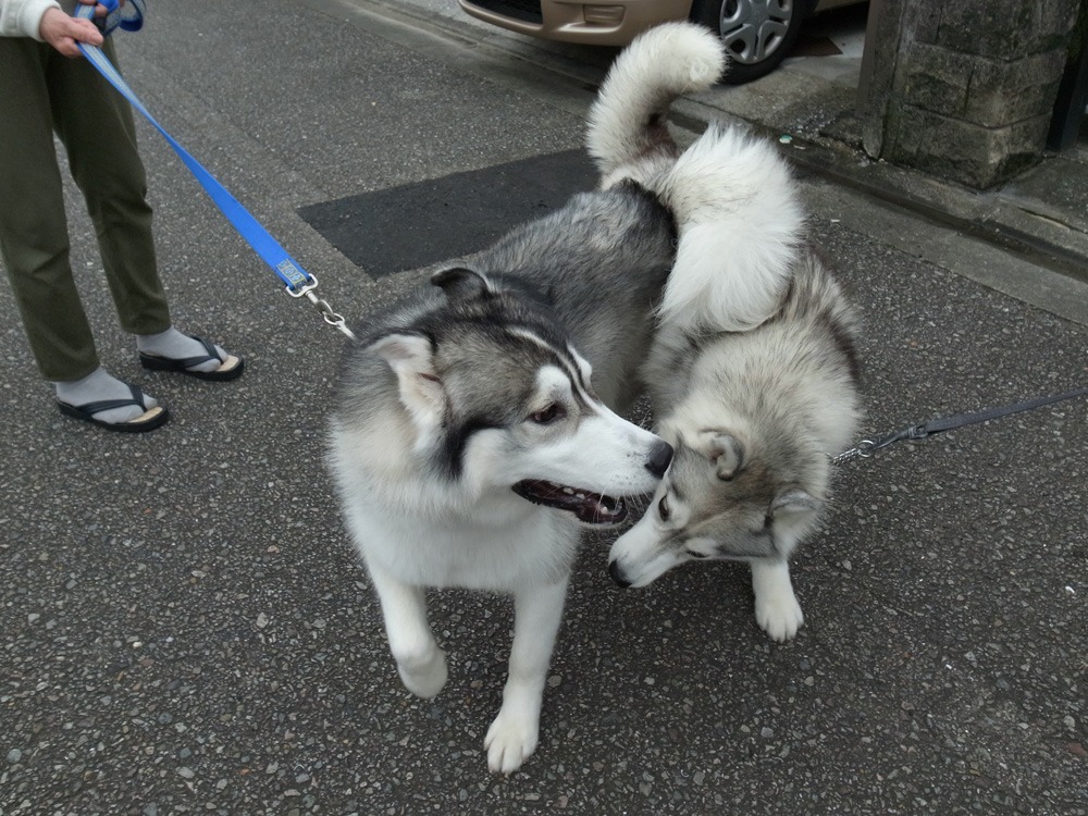 お宅訪問~♪ (^o^)_c0049299_23142582.jpg