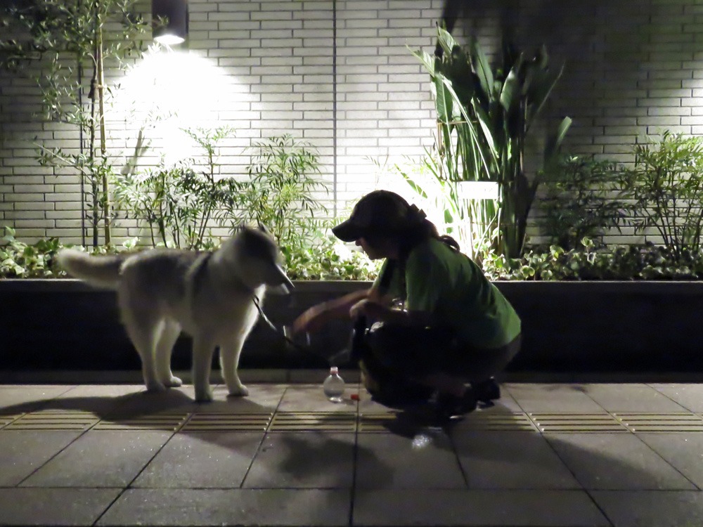 お宅訪問~♪ (^o^)_c0049299_23162358.jpg