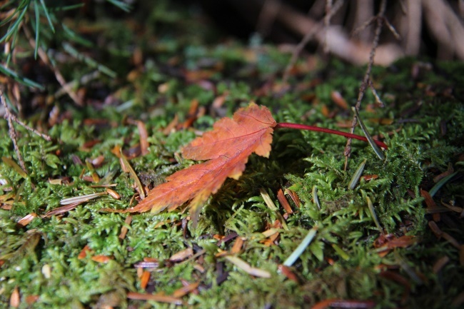 a0320601_11013329.jpg