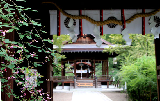 梨の木神社 萩_e0048413_17255314.jpg