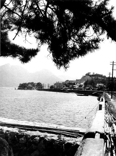 e0125014_10353077.jpg